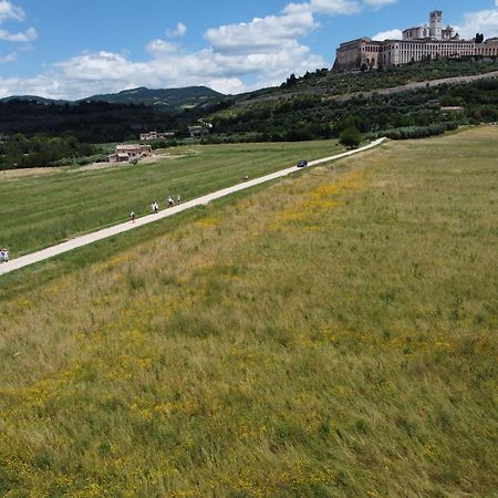 Agriturismo Molinella Assisi Exterior photo
