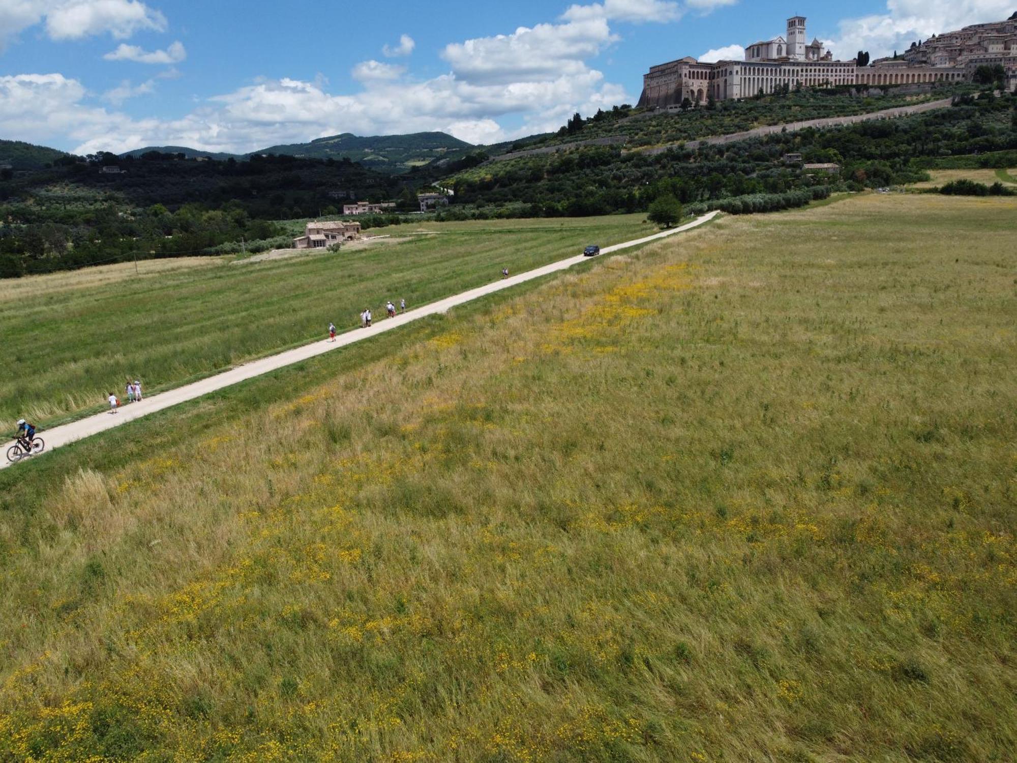 Agriturismo Molinella Assisi Exterior photo